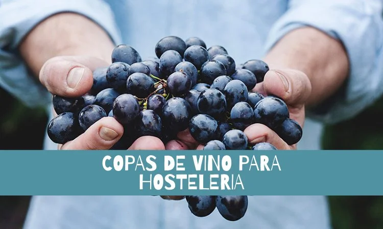 Copas de vino totalmente templadas, juego de copas de vino resistentes a  los golpes para vino tinto o blanco, copas de tallo aptas para lavavajillas